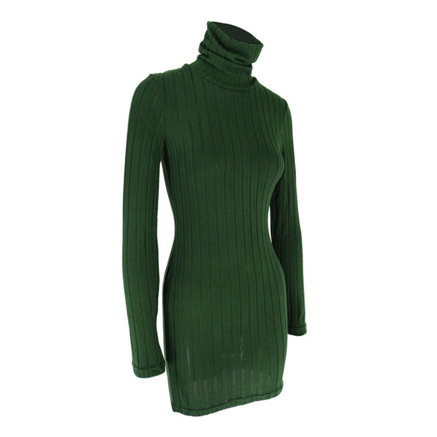 Turtleneck Ribbed Bodycon Mini Dress Apparel and Accessories