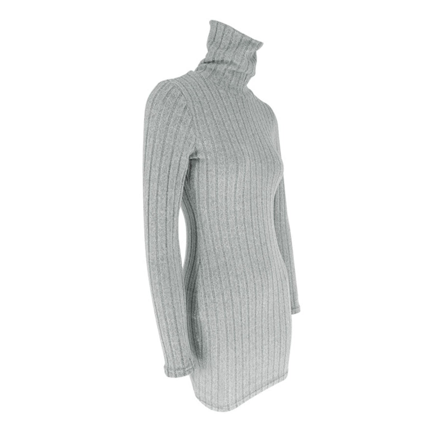 Turtleneck Ribbed Bodycon Mini Dress Apparel and Accessories