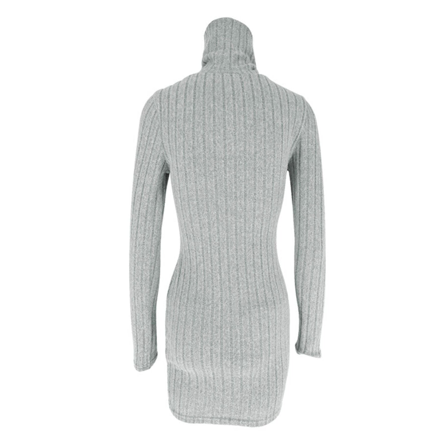 Turtleneck Ribbed Bodycon Mini Dress Apparel and Accessories