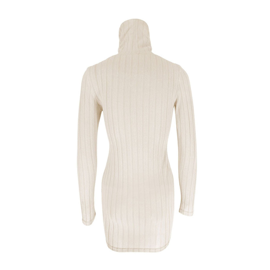 Turtleneck Ribbed Bodycon Mini Dress Apparel and Accessories