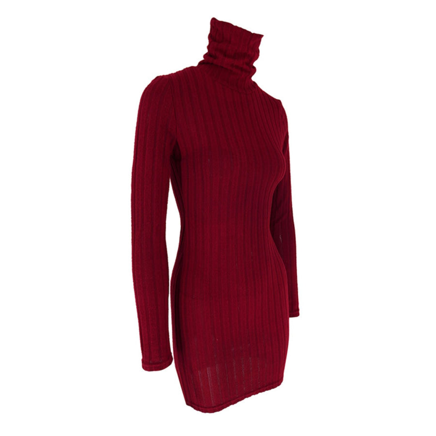 Turtleneck Ribbed Bodycon Mini Dress Apparel and Accessories