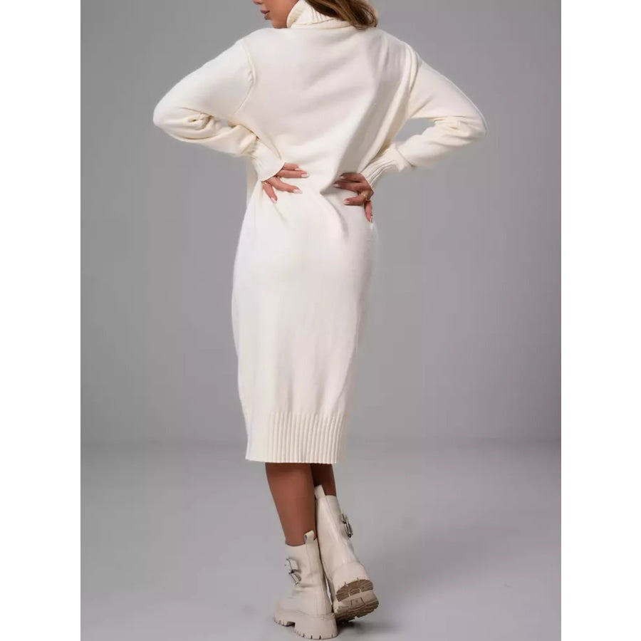 Turtleneck Ribbed Knit Sweater Dress Apparel and Accessories