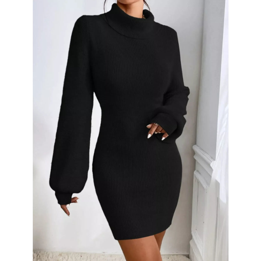 Turtleneck Ribbed Knit Sweater Dress Apparel and Accessories