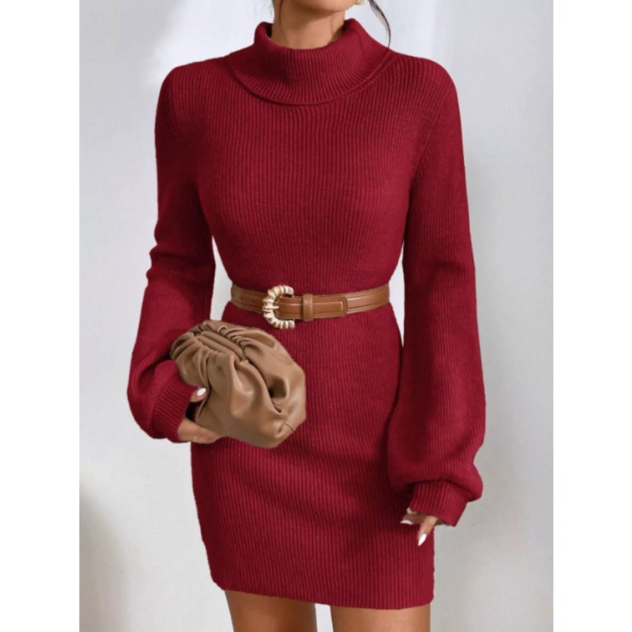 Turtleneck Ribbed Knit Sweater Dress Apparel and Accessories
