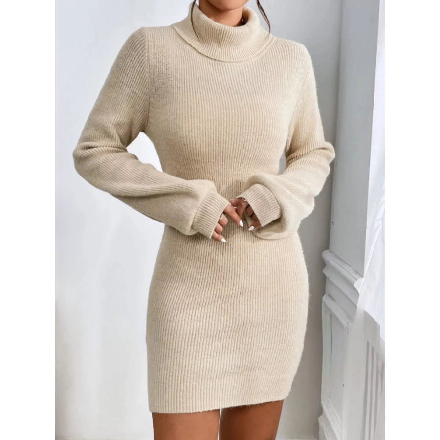 Turtleneck Ribbed Knit Sweater Dress Apparel and Accessories