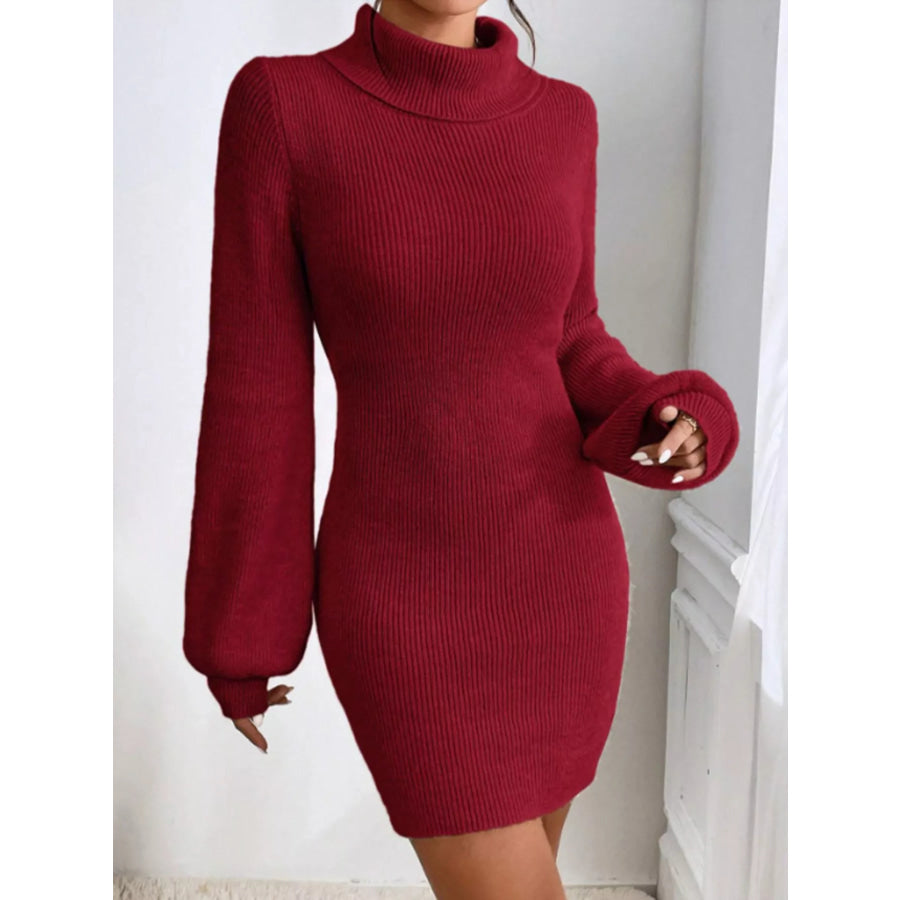 Turtleneck Ribbed Knit Sweater Dress Apparel and Accessories