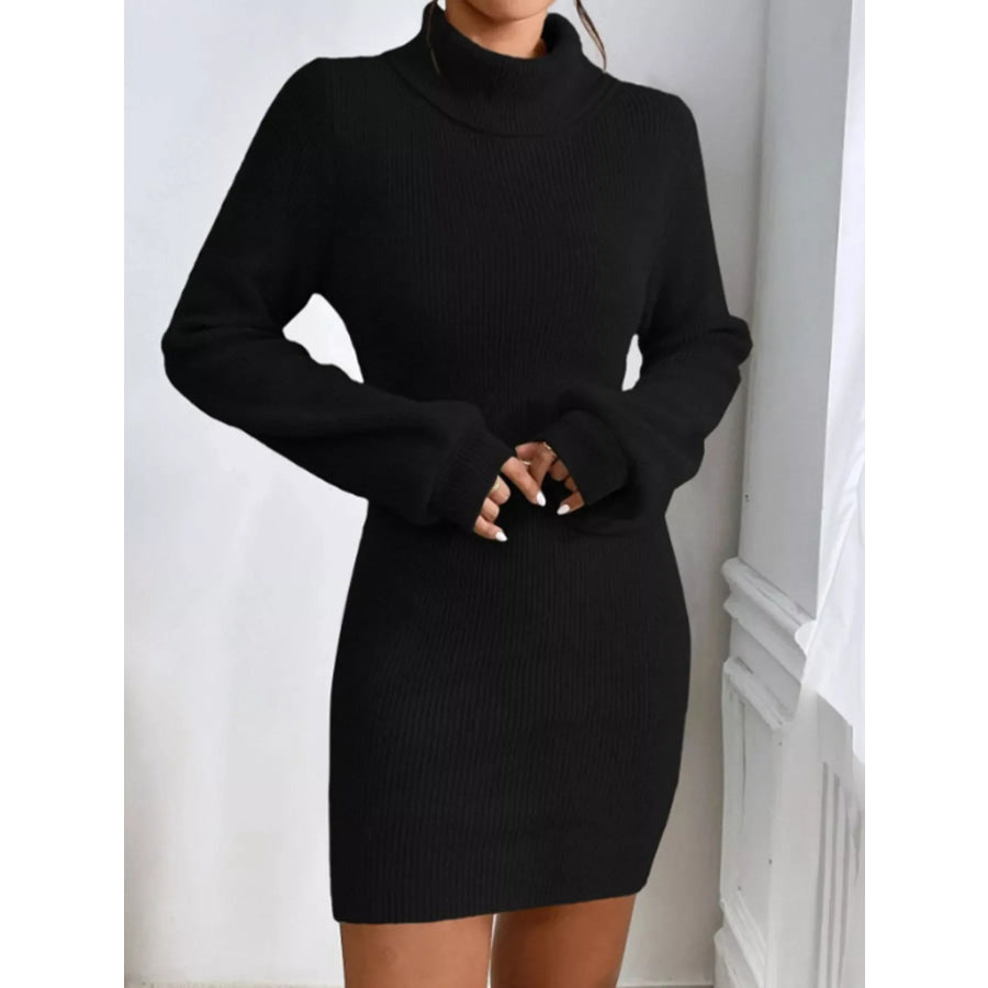 Turtleneck Ribbed Knit Sweater Dress Apparel and Accessories