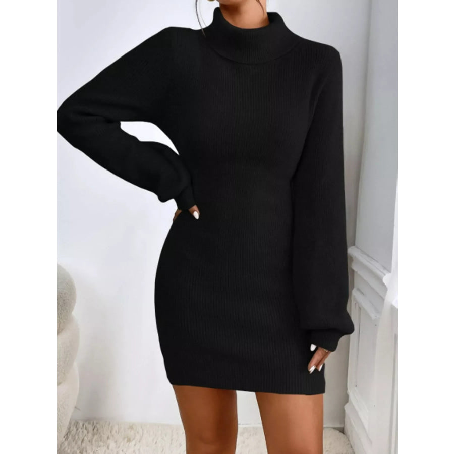 Turtleneck Ribbed Knit Sweater Dress Apparel and Accessories