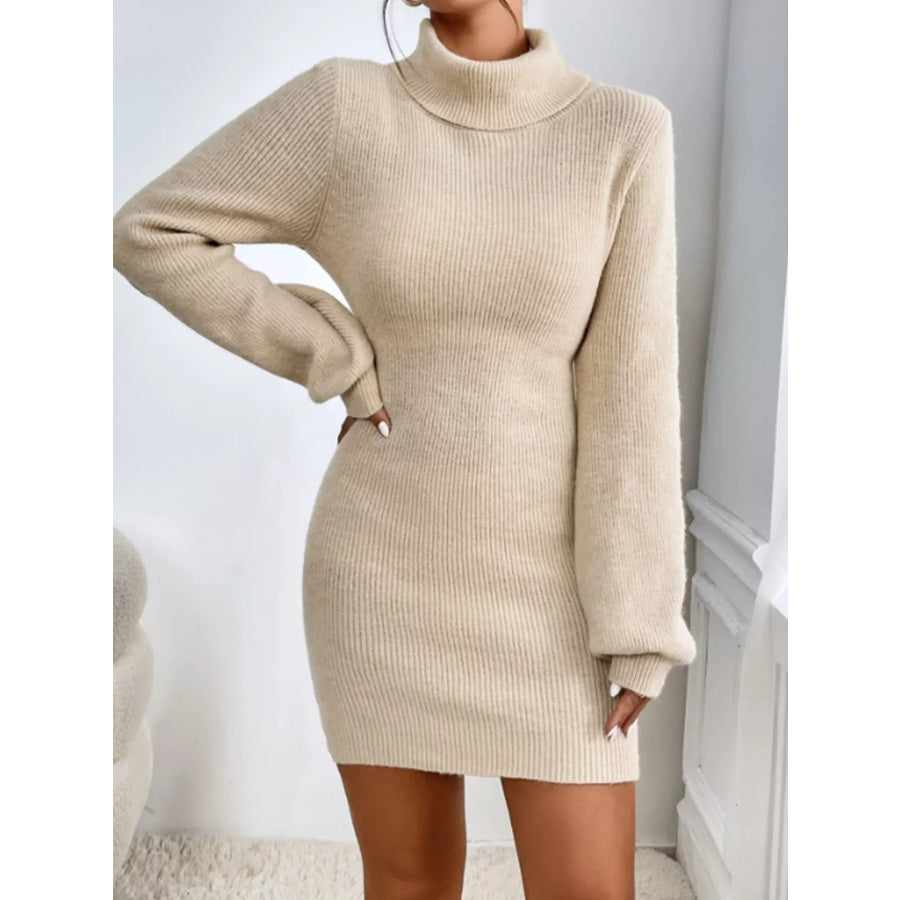 Turtleneck Ribbed Knit Sweater Dress Apparel and Accessories