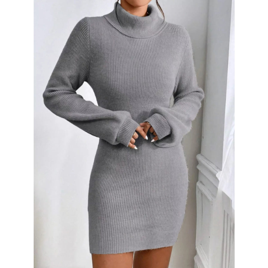 Turtleneck Ribbed Knit Sweater Dress Apparel and Accessories