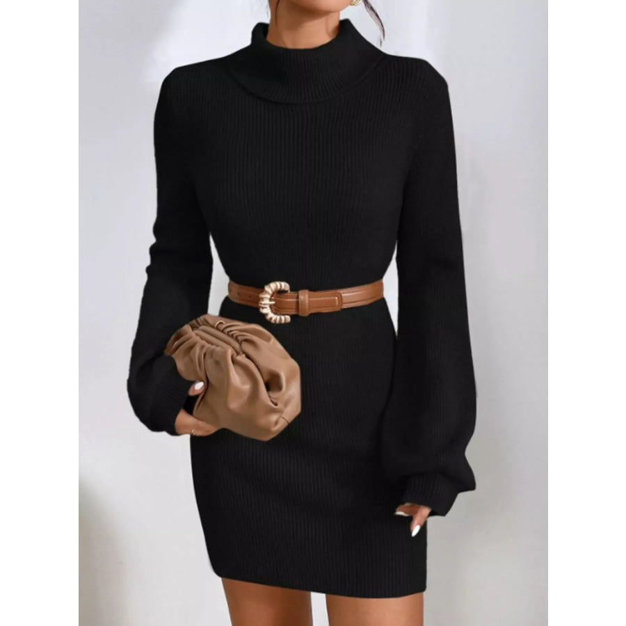 Turtleneck Ribbed Knit Sweater Dress Apparel and Accessories