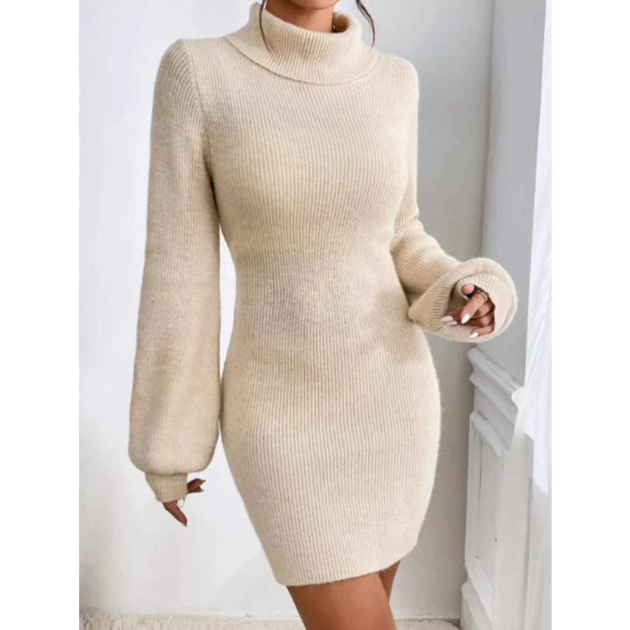 Turtleneck Ribbed Knit Sweater Dress Apparel and Accessories