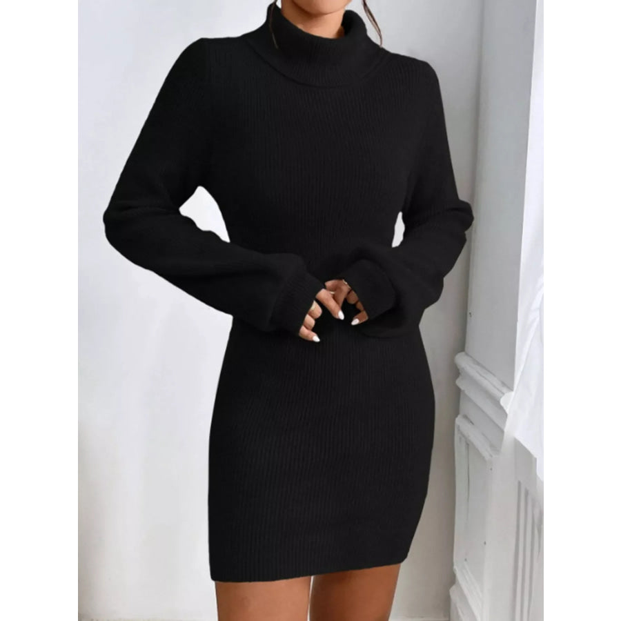 Turtleneck Ribbed Knit Sweater Dress Apparel and Accessories