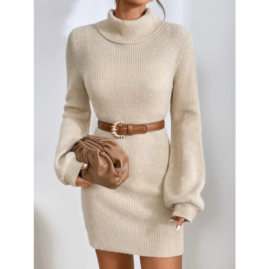 Turtleneck Ribbed Knit Sweater Dress Apparel and Accessories