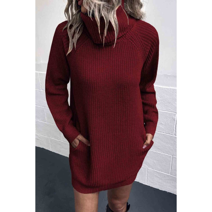 Turtleneck Sweater Dress with Pockets Wine / S