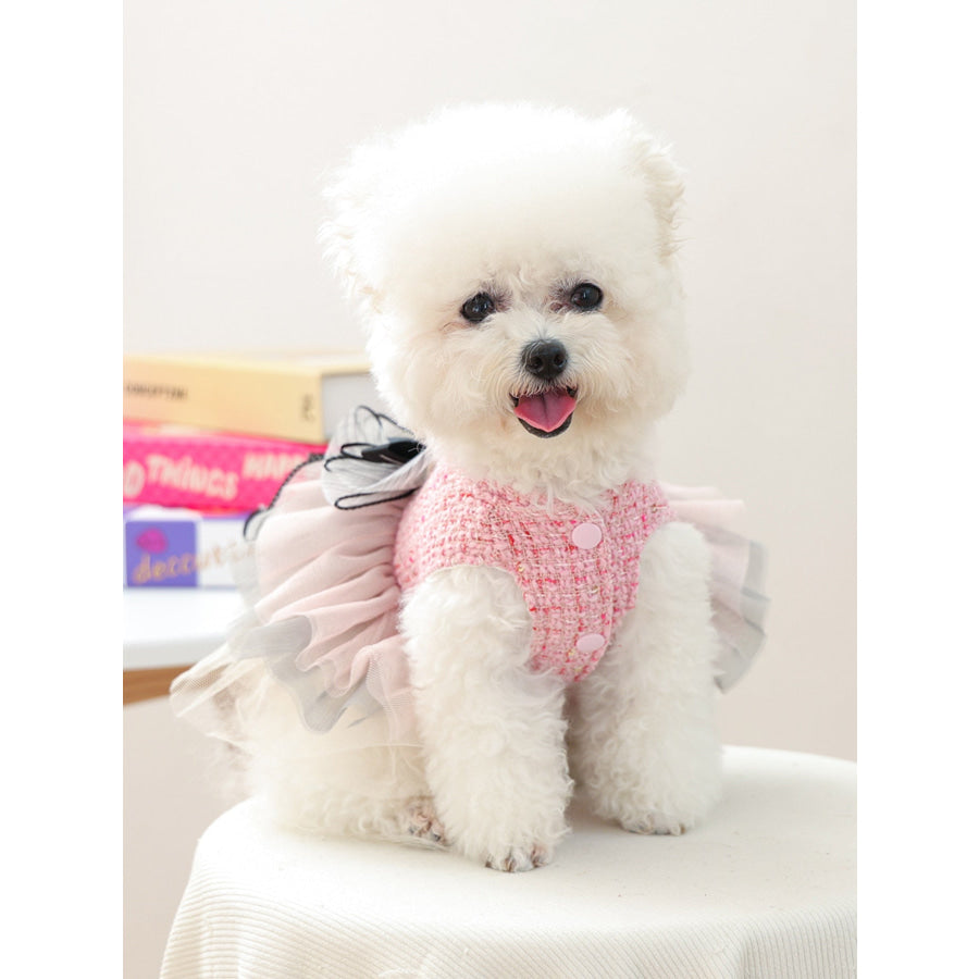Tweed Pet Dress with Ruffle Apparel and Accessories