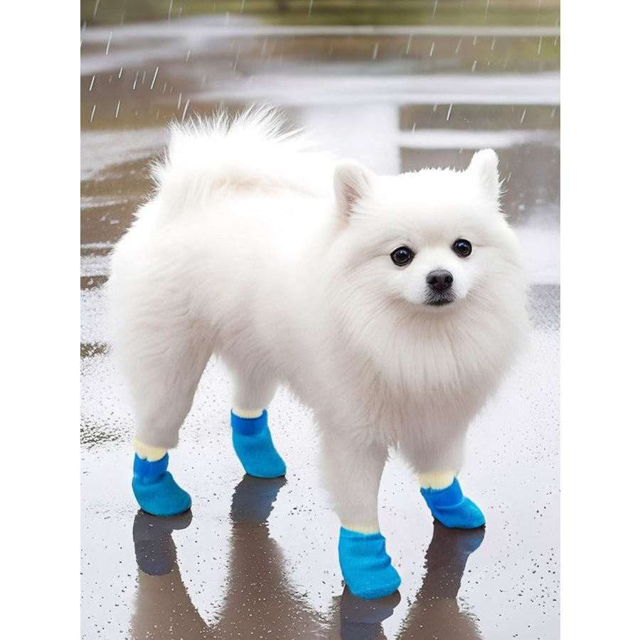 Waterproof Anti-Slip Pet Shoes Sky Blue / S Apparel and Accessories