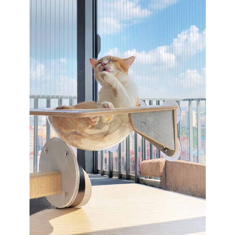 Window Mounted Cat Condos Apparel and Accessories