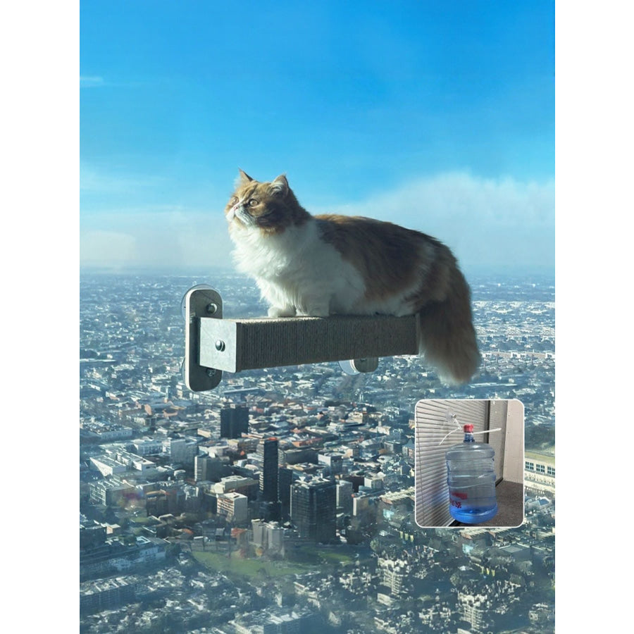 Window Mounted Cat Condos Apparel and Accessories