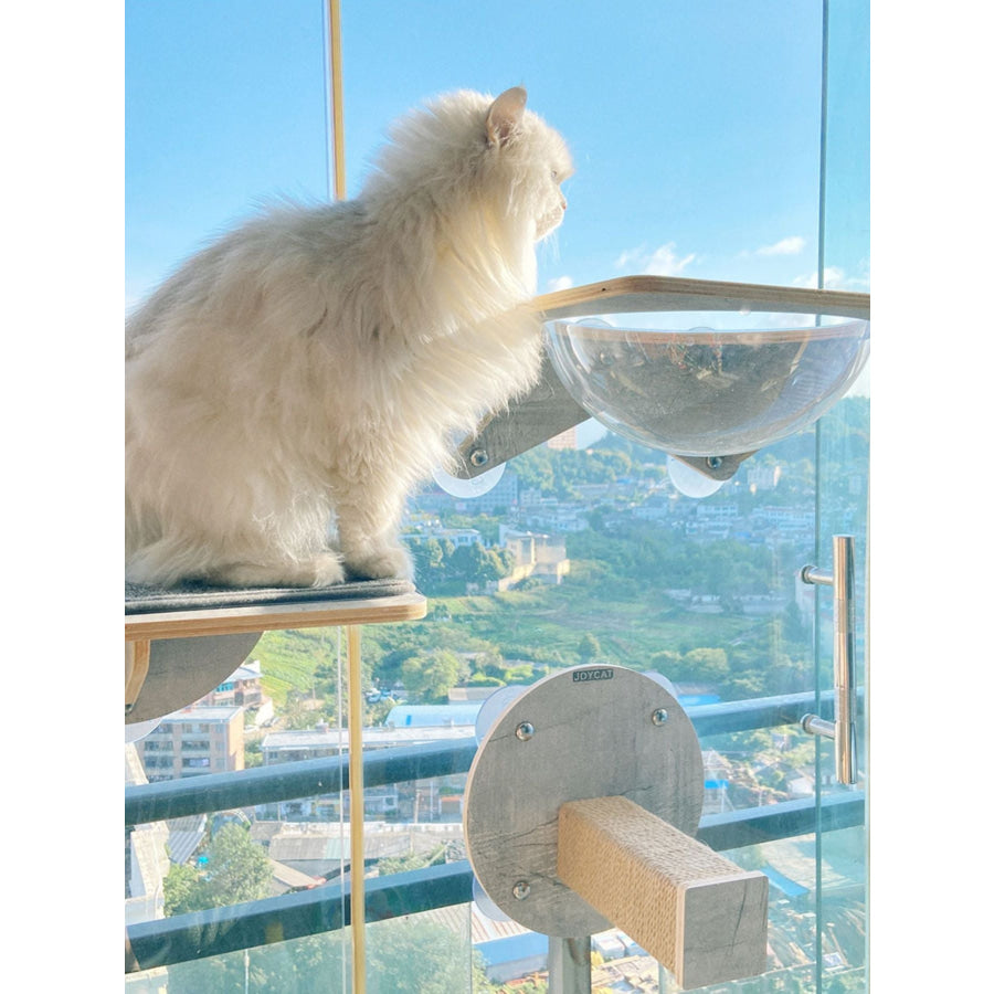 Window Mounted Cat Condos Space Capsule / One Size Apparel and Accessories