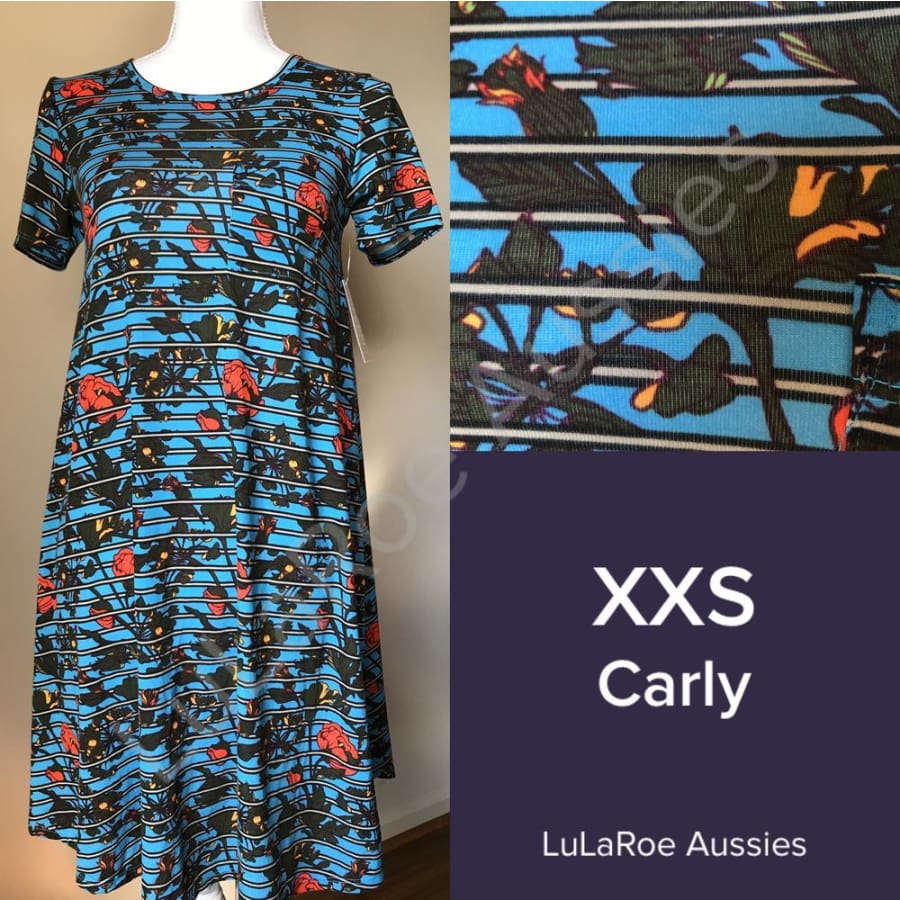 Lularoe Carly Xxs / Blue With Black/grey Stripes And Orange/yellow/olive Floral Dresses